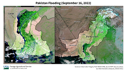 images\Year_2022\September\Floods\sasia\Pakistan\PakistanSep162022VIIRSSindhFocusCitiesWide_thumb.png
